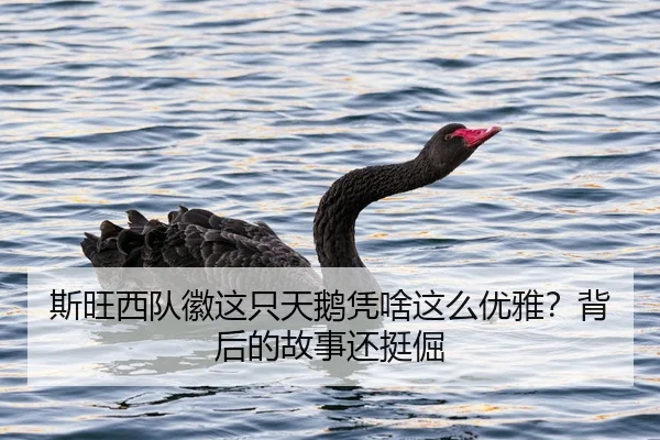 si-wang-xi-dui-hui-zhe-zhi-tian-e-ping-sha-zhe-me-you-ya-bei-hou-de-gu-shi-hai-ting-jue-1-105.jpg