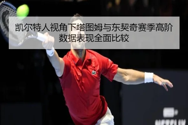 凯尔特人视角下塔图姆与东契奇赛季高阶数据表现全面比较